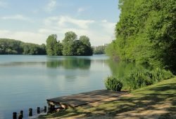 Parc de la tête d'or à Lyon