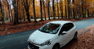 alcopa-encheres-vehicules-lyon