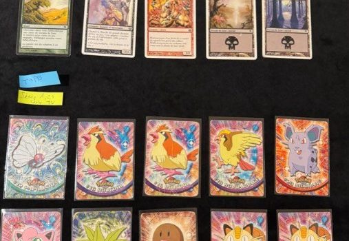 cartes pokemon et magic
